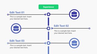 Animated Timeline Slide for Work Experience Presentation