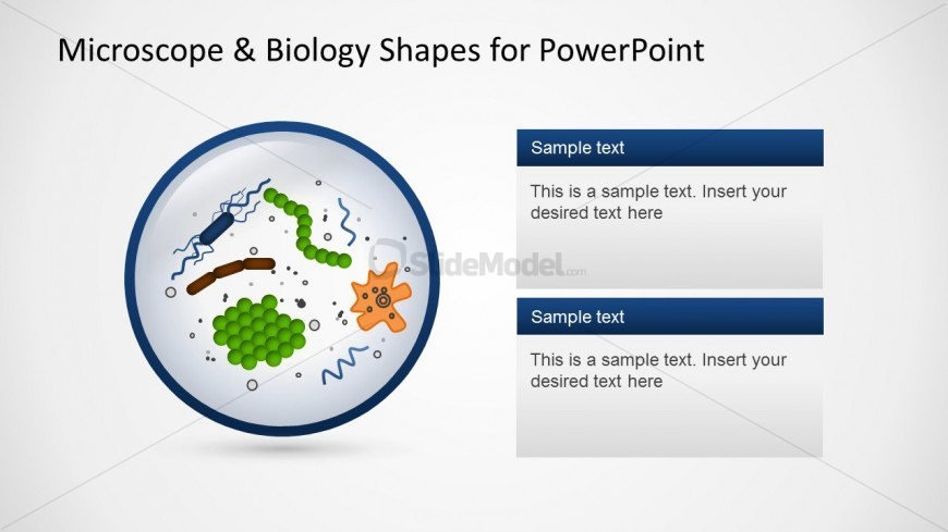 Microscope Biology Slide Design for PowerPoint