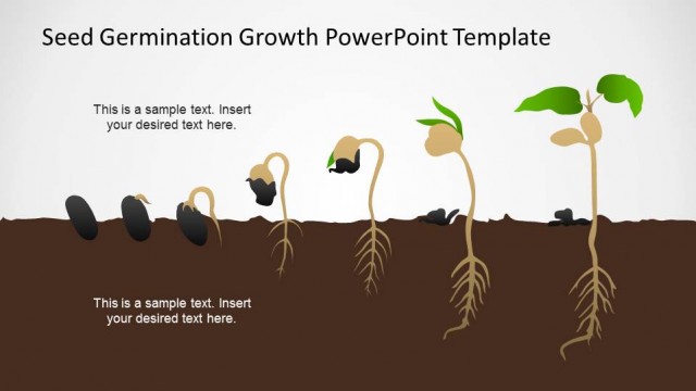 Seed Germination Growth PowerPoint Template