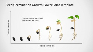 PowerPoint Timeline in Cartesian Axis with Seed Germination Process