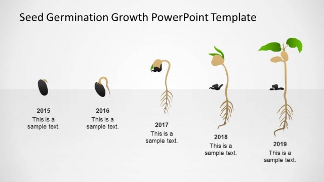 PowerPoint Timeline Where Milestones Are Stages of Germination Process