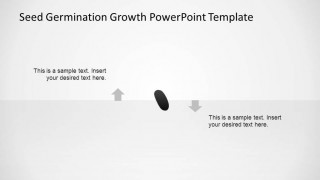Black Bean Seed PowerPoint Shape 