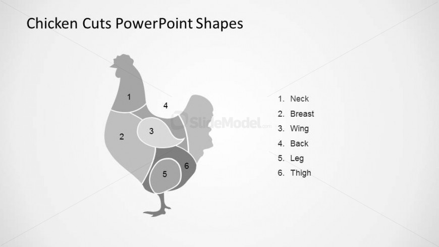 Numbered Meat Cuts of Chicken PowerPoint  Shape