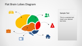Color coded cross sectional brain lobe map with icons