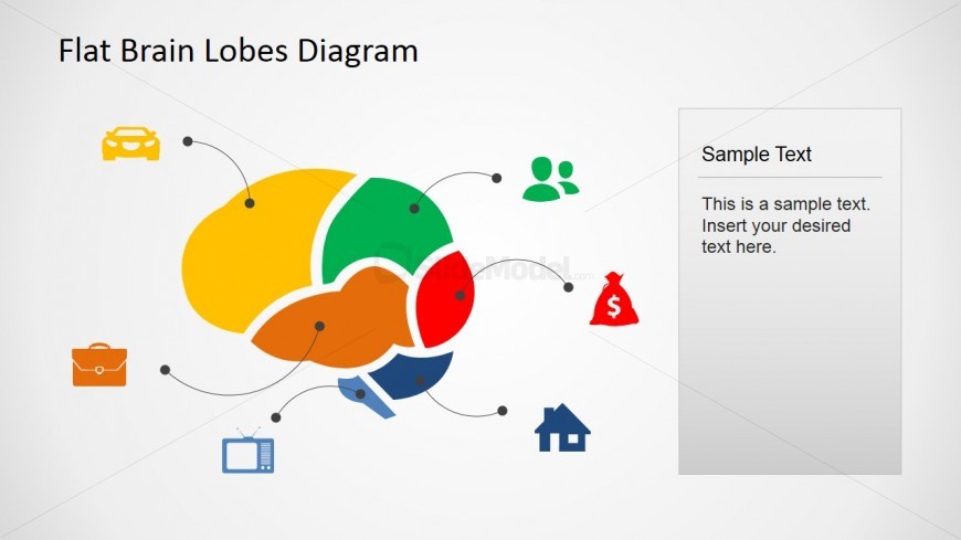 Color coded cross sectional brain lobe map with icons