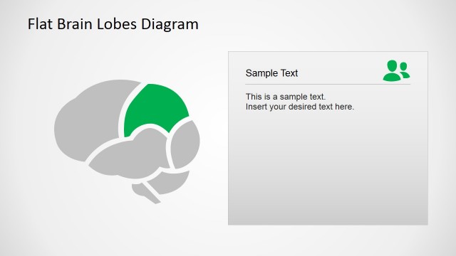 PowerPoint Flat Parietal Brain Lobe Diagram