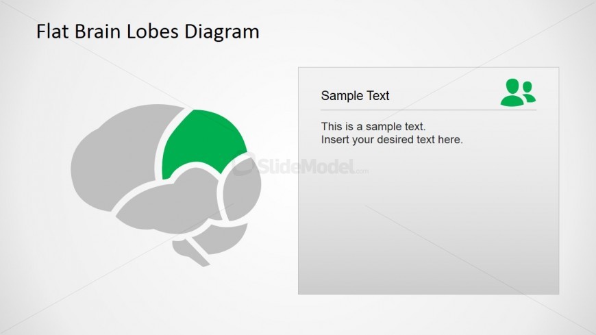 Parietal Brain Lobe PowerPoint Diagram
