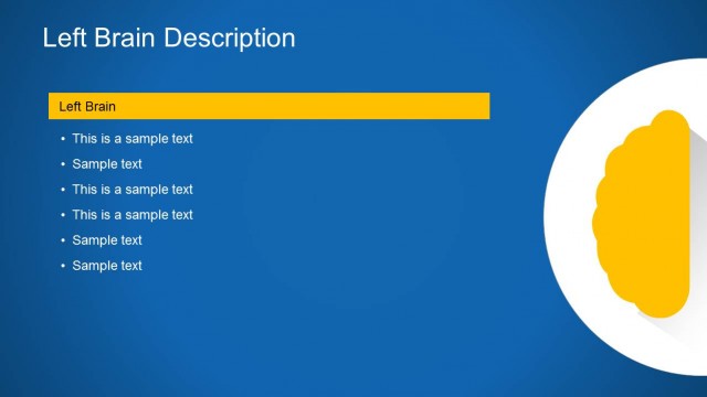 6579-02-brain-diagram-4