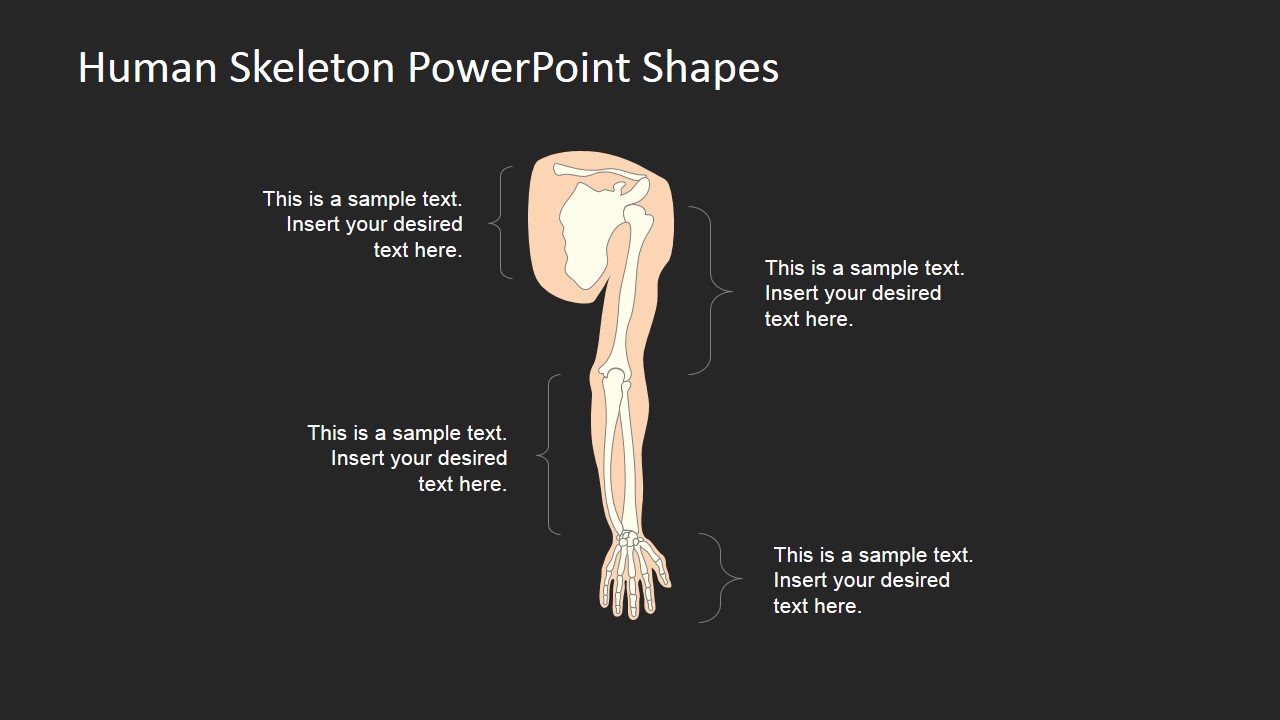 PowerPoint Slides for Human Anatomy