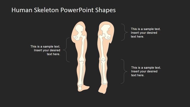 PowerPoint Design for Model Skeleton