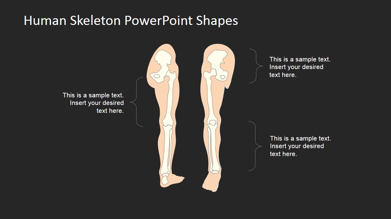 PowerPoint Picture of Human Skeleton