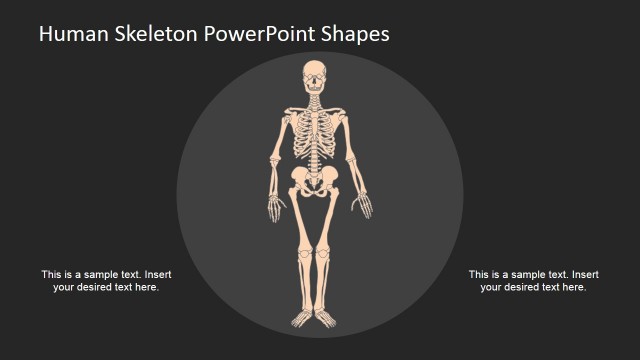 PowerPoint Ideas for Skeleton Model