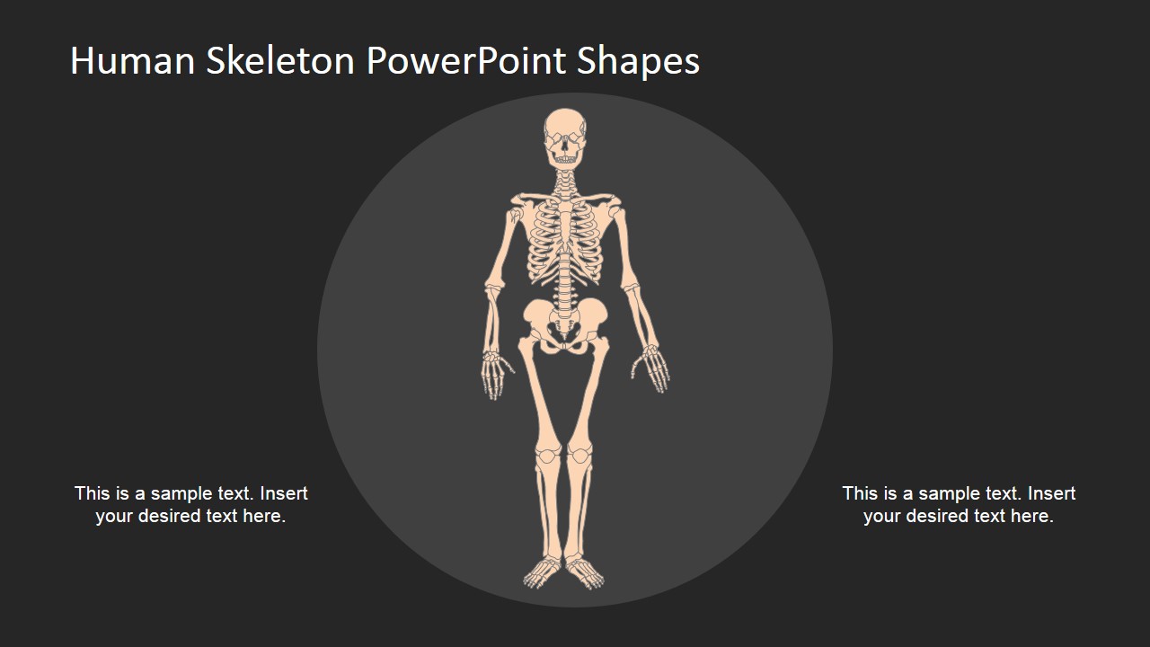 Human Skeleton Diagram Using PowerPoint