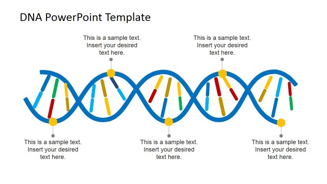 DNA Strands PowerPoint Template