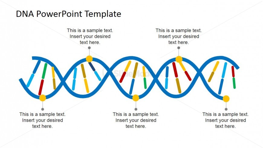 DNA PowerPoint Diagram Slide Design