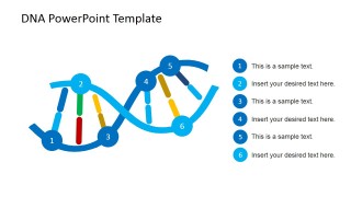 DNA Strands Shapes for PowerPoint