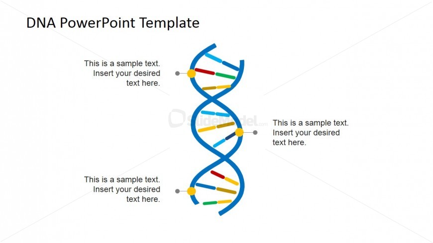 Vertical Picture of DNA Strands for PowerPoint