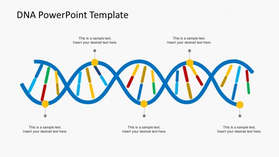 Organization Culture DNA Strands PowerPoint