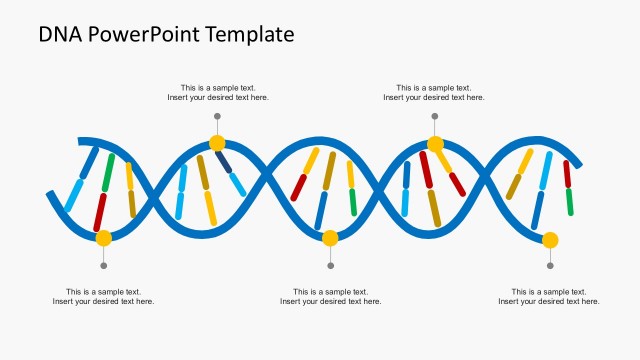 Organization Culture DNA PowerPoint Templates