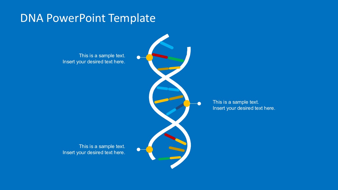 Flat DNA Strand Concept for Organizations PowerPoint