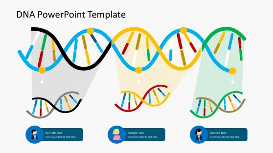 Demographic DNA Strands PowerPoint Templates