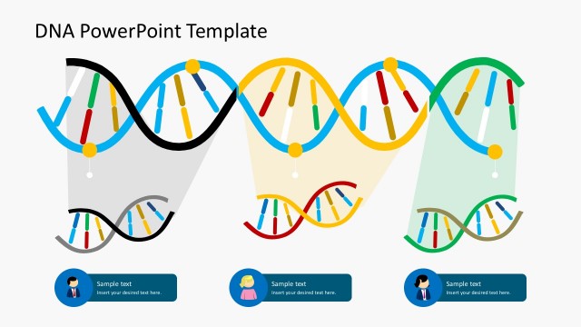 Demographic DNA Strands PowerPoint Templates