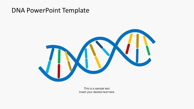 Simple DNA Strands Vectors for PowerPoint