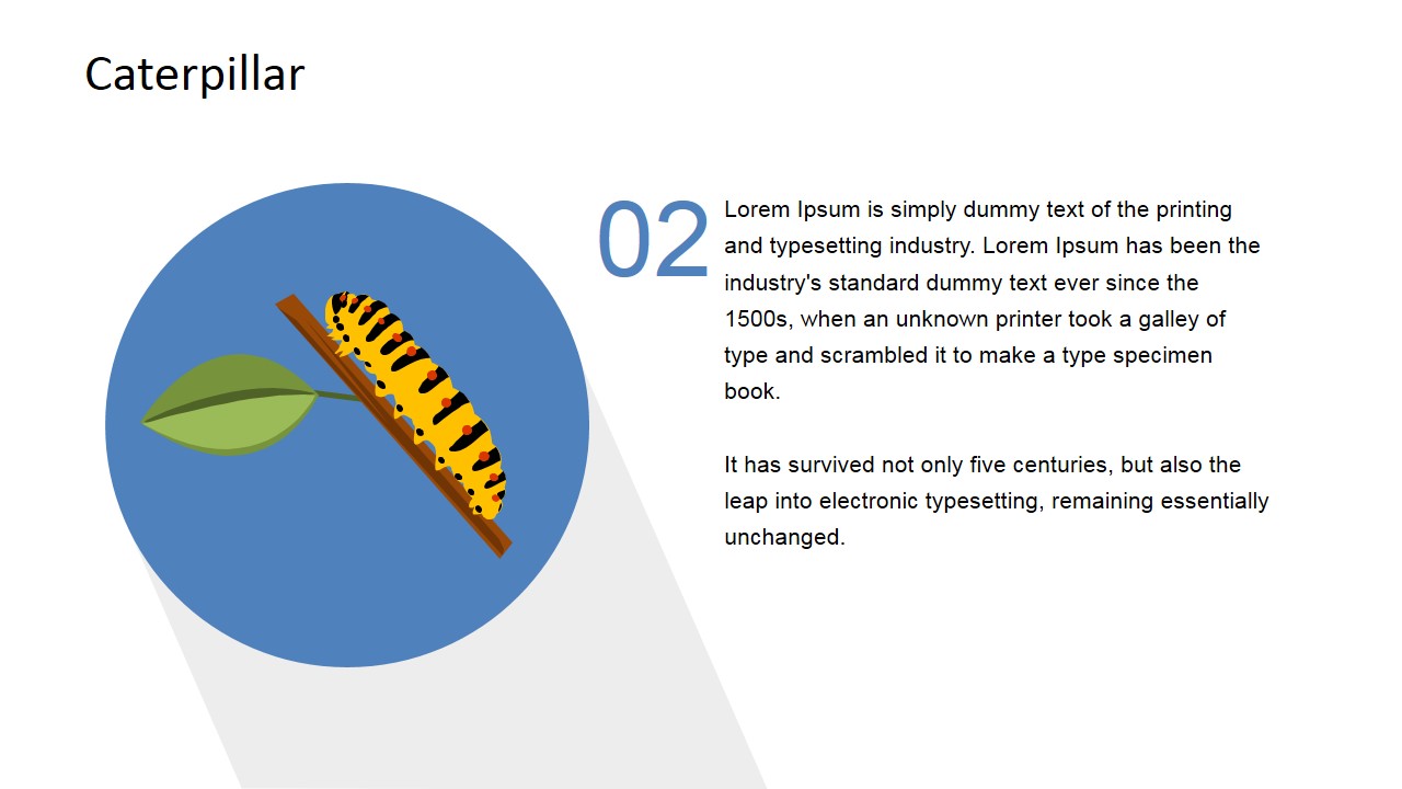 High Quality Caterpillar Clip Art Image PowerPoint