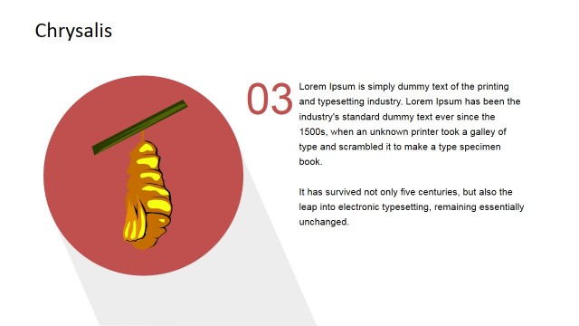 Chrysalis Business Metaphor PowerPoint