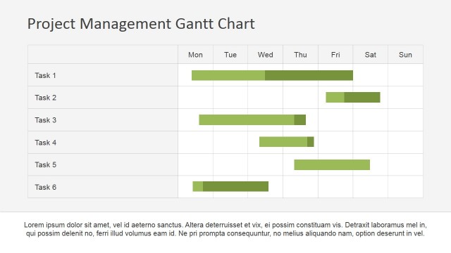 Task Wise description Gantt Chart Slide