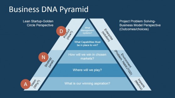 Flat Pyramid of Business DNA Framework