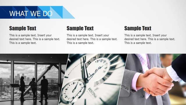 Professional PowerPoint Template What We Do Design