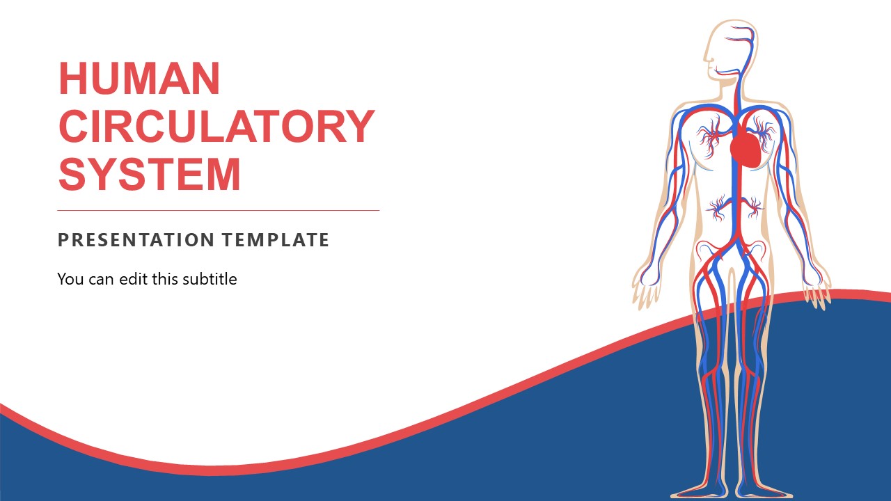 Human Circulatory System PowerPoint SlideModel