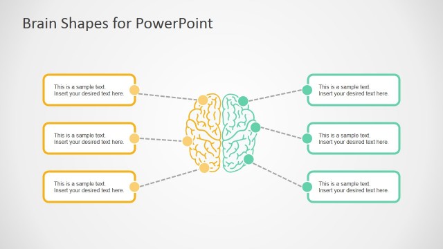 7032-01-brain-infographic-2