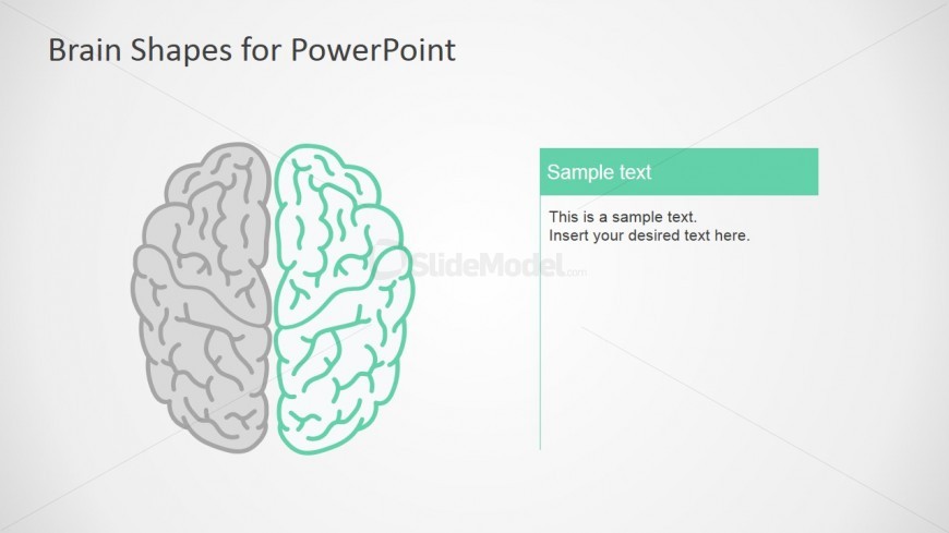 Righ Brain Infographics For PowerPoint