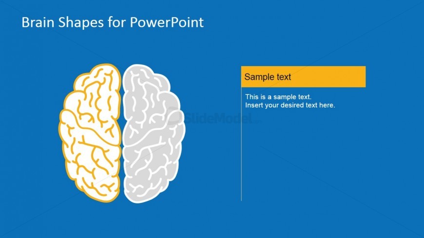 Brain PowerPoint Vectors For Presentation