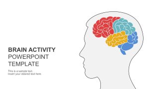 Human Brain Shapes and Clip Arts