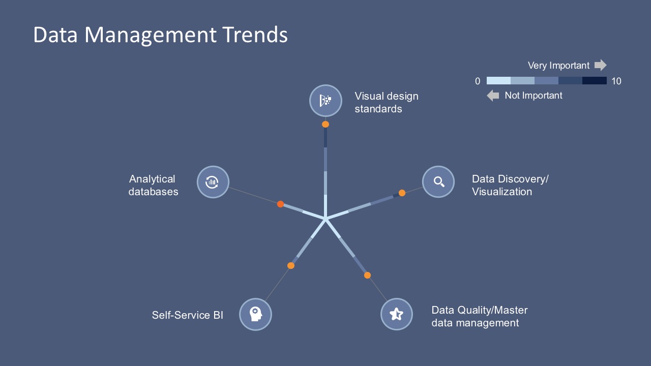 Business Data Management Visual Standard Design 