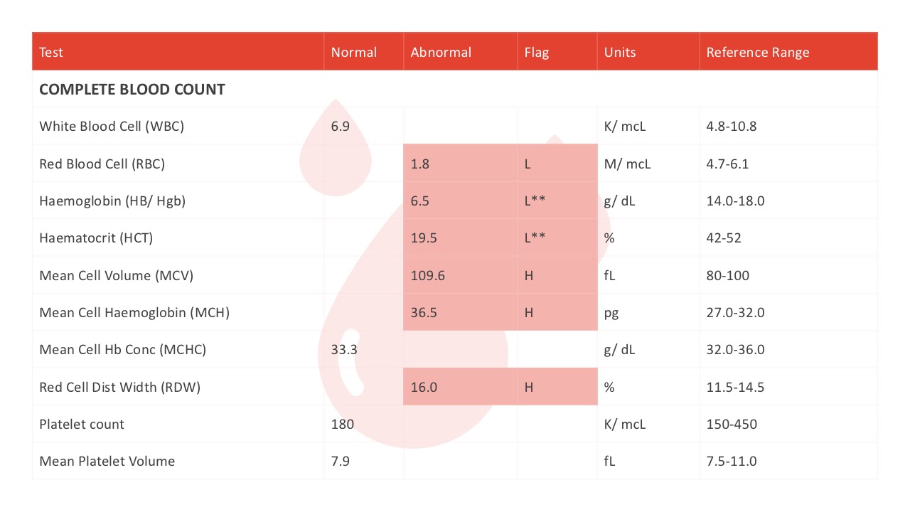 blood-bank-donation-powerpoint-template