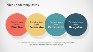 Circle Diagram PowerPoint Shapes with Shadows