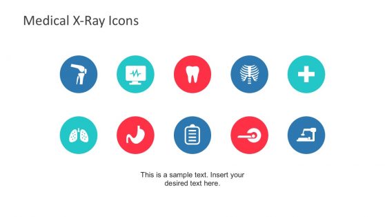 Editable Medical X-Ray Icons and Shapes