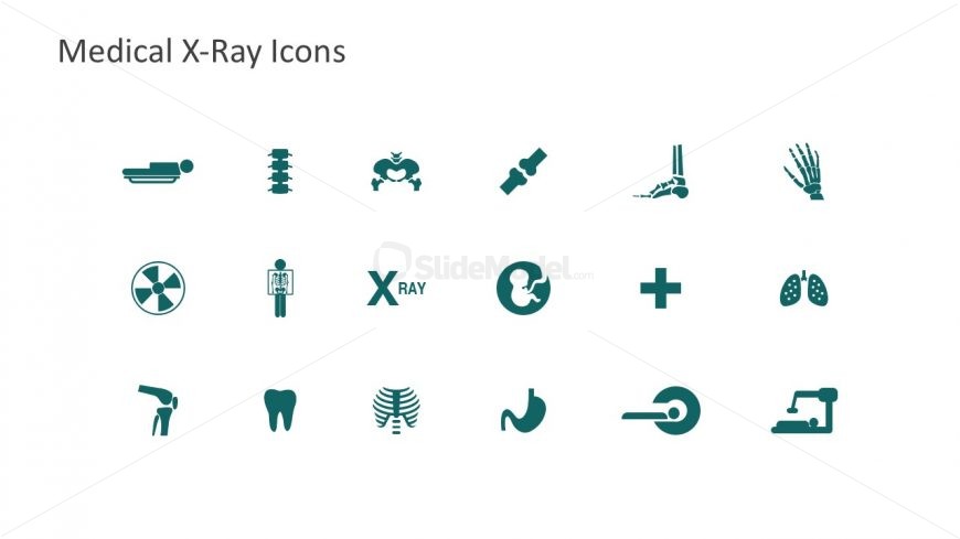 Editable Icons for Medical Radiology 