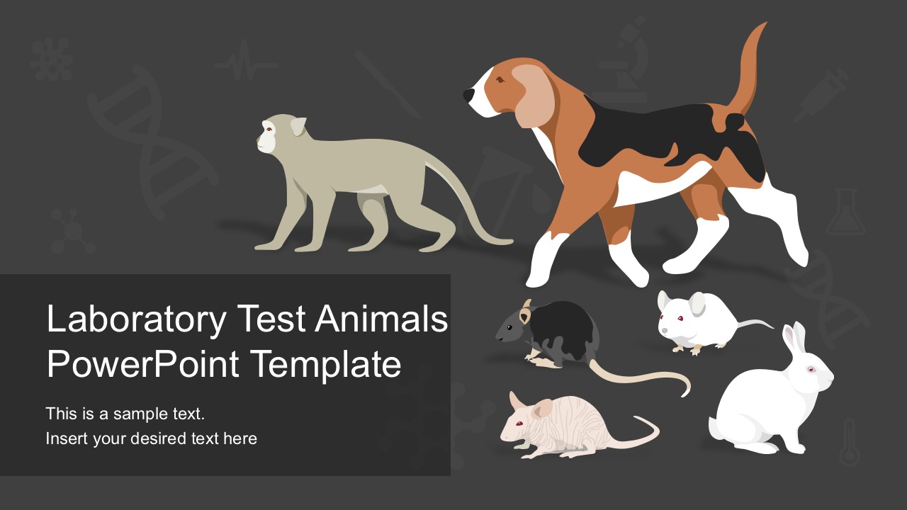 Laboratory Test Animals PowerPoint Vectors