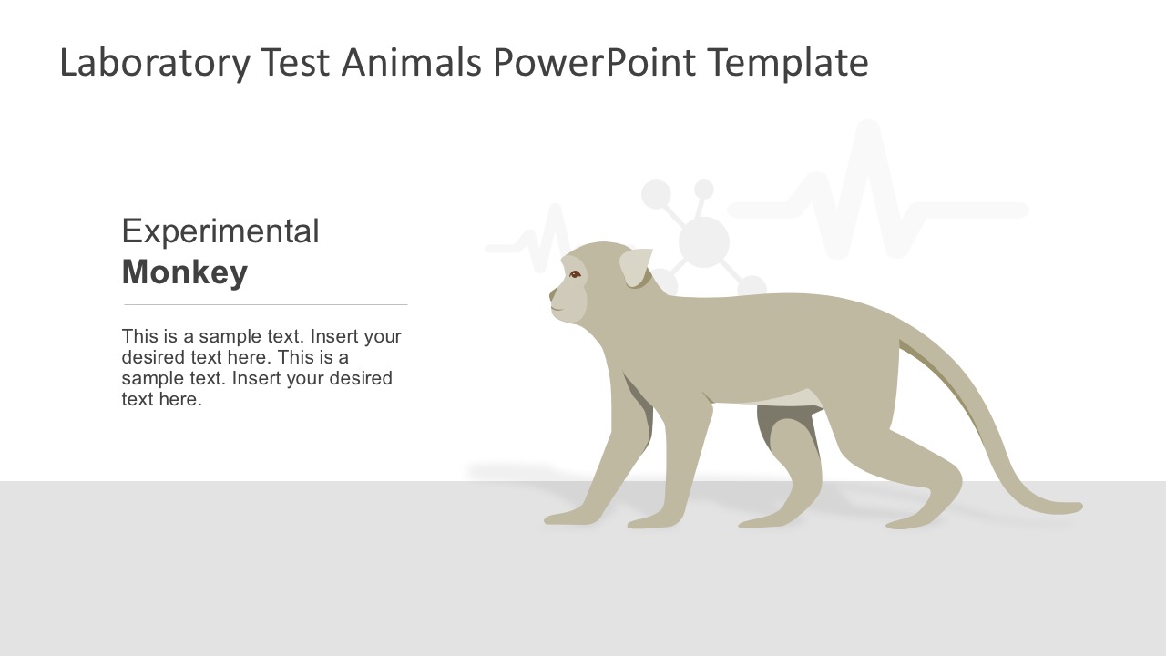 Lab Experimental Monkey for PowerPoint - SlideModel