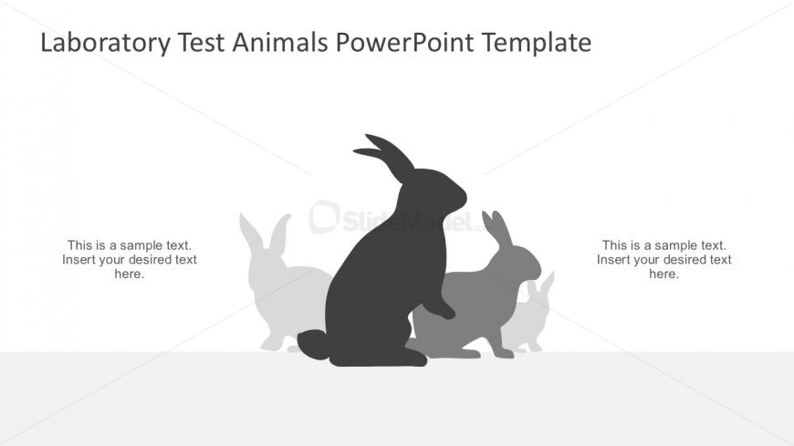 Laboratory Test Animals PowerPoint Slides