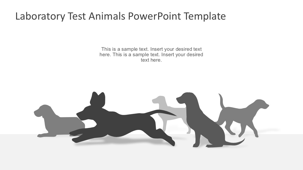 Animal Product Testing Lab Experiment - SlideModel