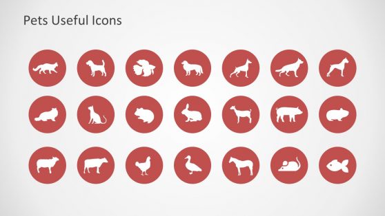 Farm Animal Infographic Icon