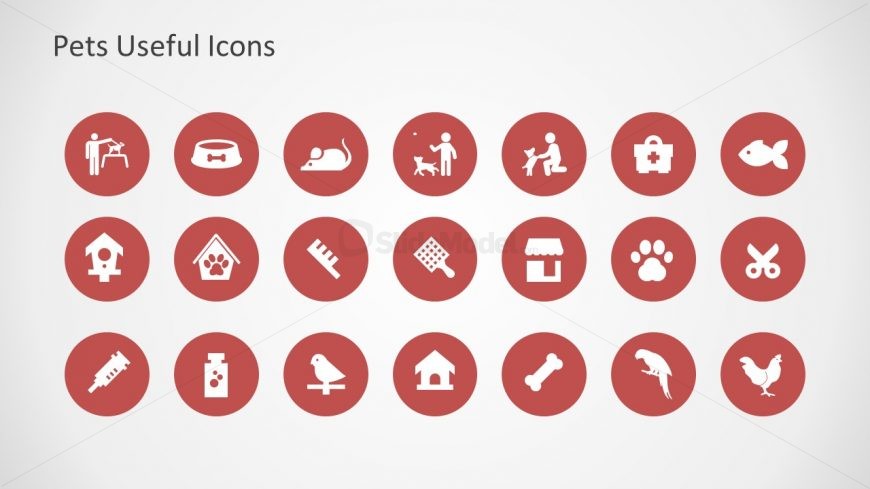 Pet Living Places Icon Template