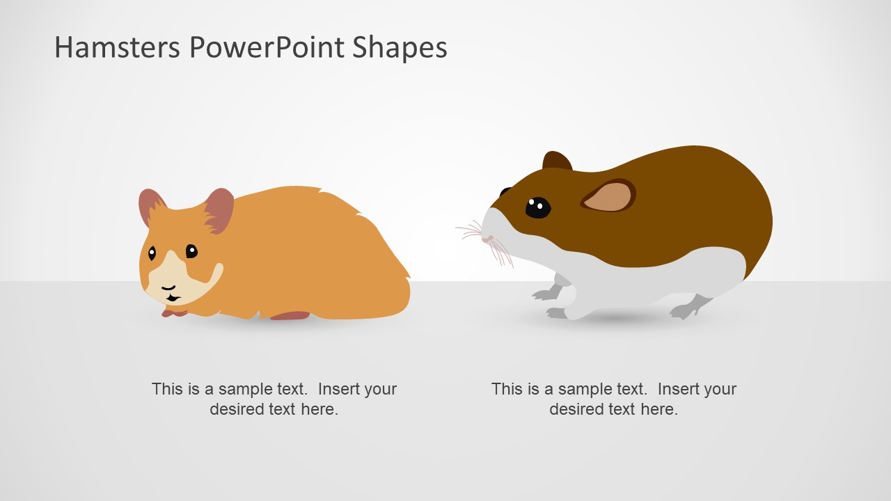 PPT - All About Hamsters PowerPoint Presentation, free download