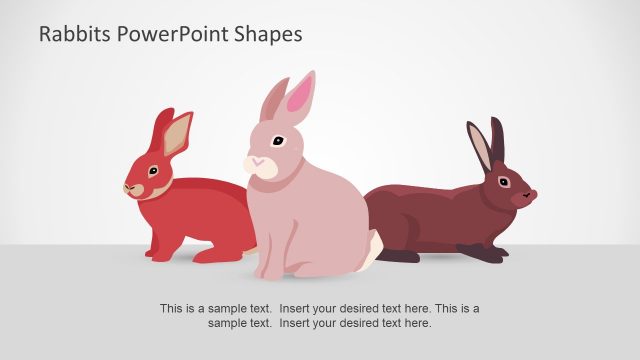 Long Pink Ear Rabbit